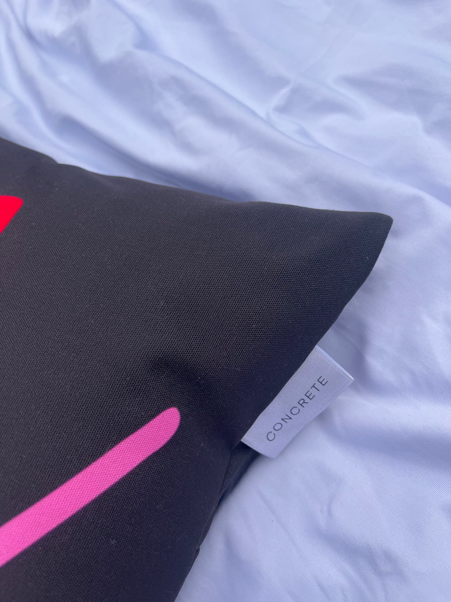 NOT EVERYTHING YOU THINK IS TRUE - Cushion