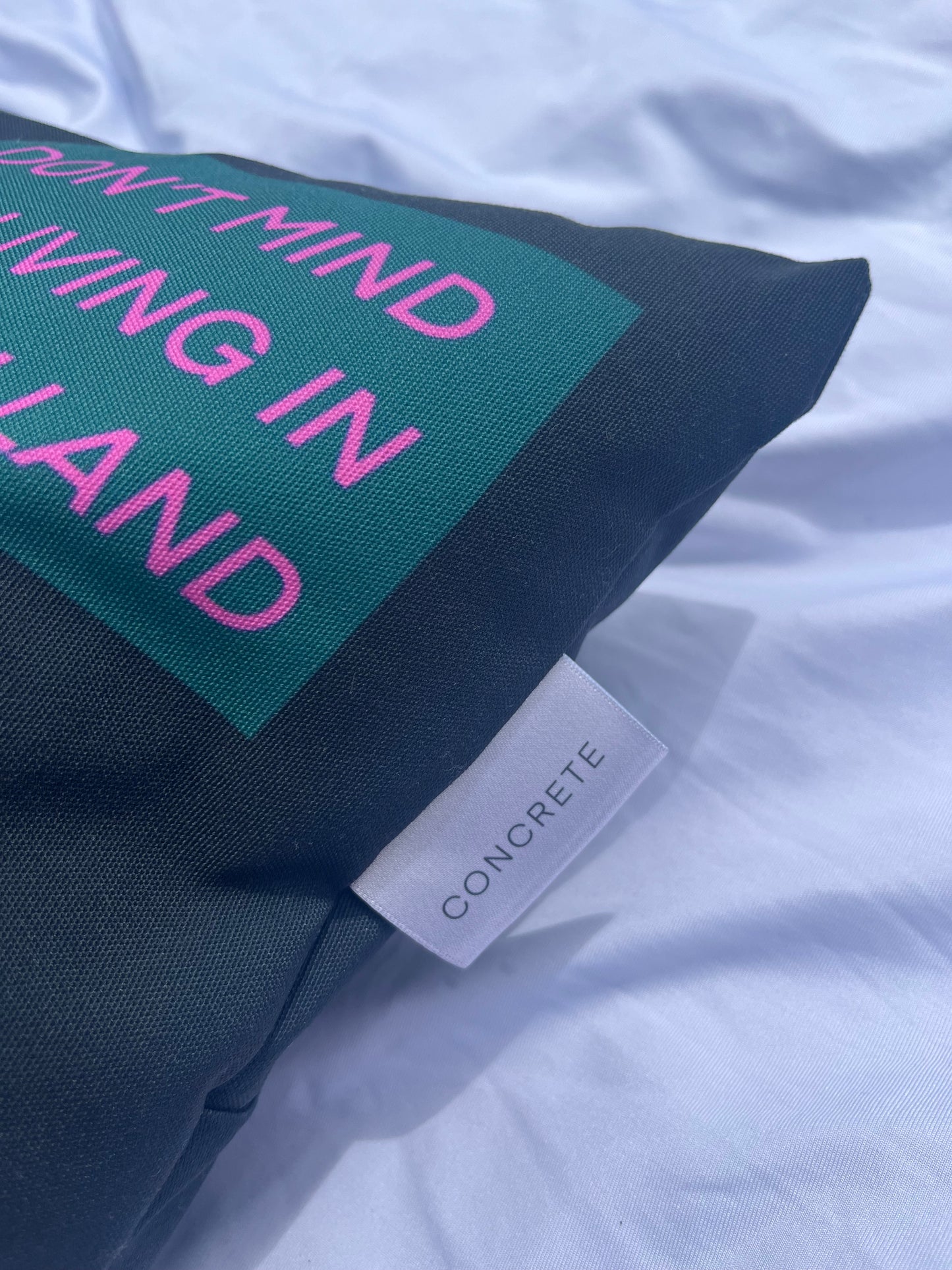 DELULU LAND - Cushion