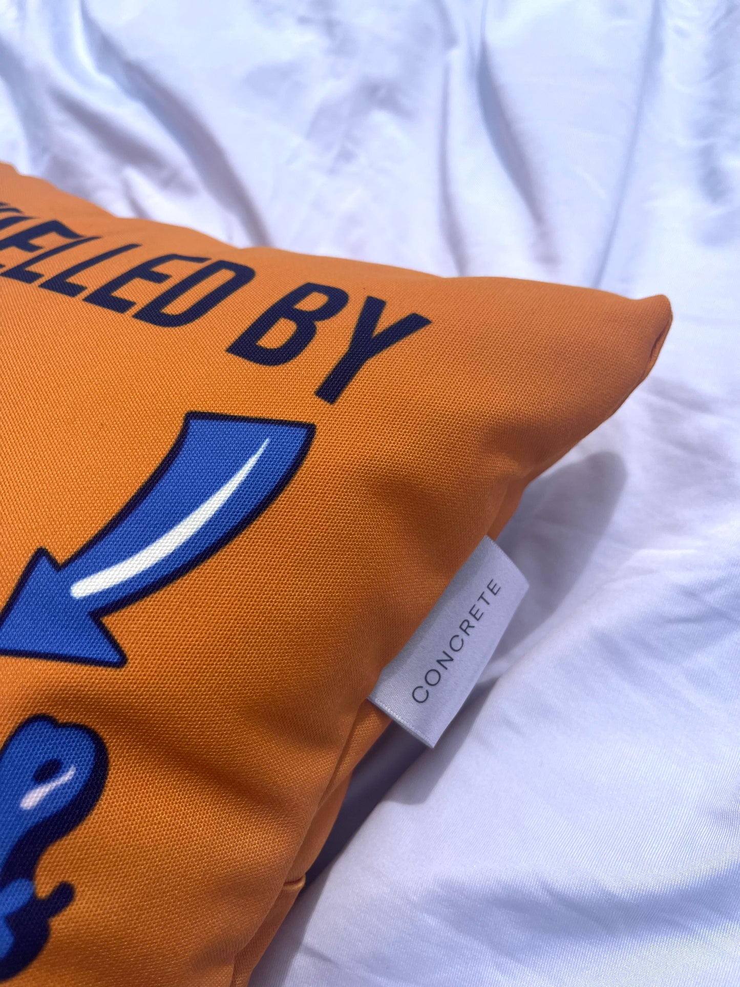 COFFEE & ANXIETY - Cushion