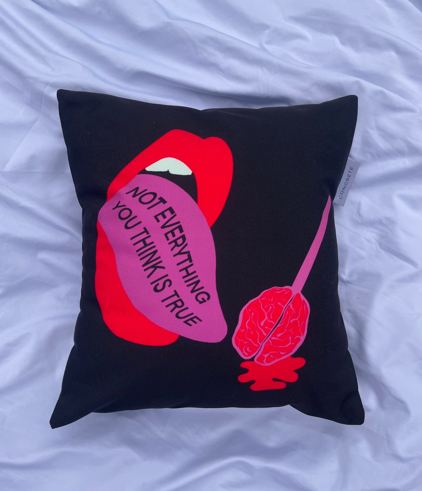 NOT EVERYTHING YOU THINK IS TRUE - Cushion